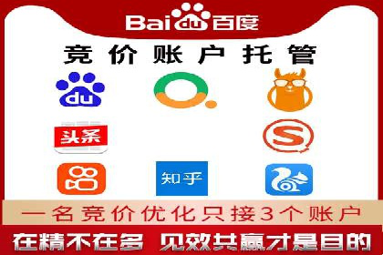 SEM服务公司助力企业增长案例